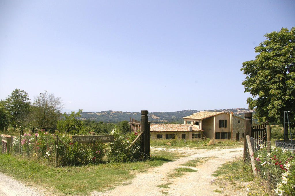 B&B Casale Di Poggioferro Скансано Экстерьер фото